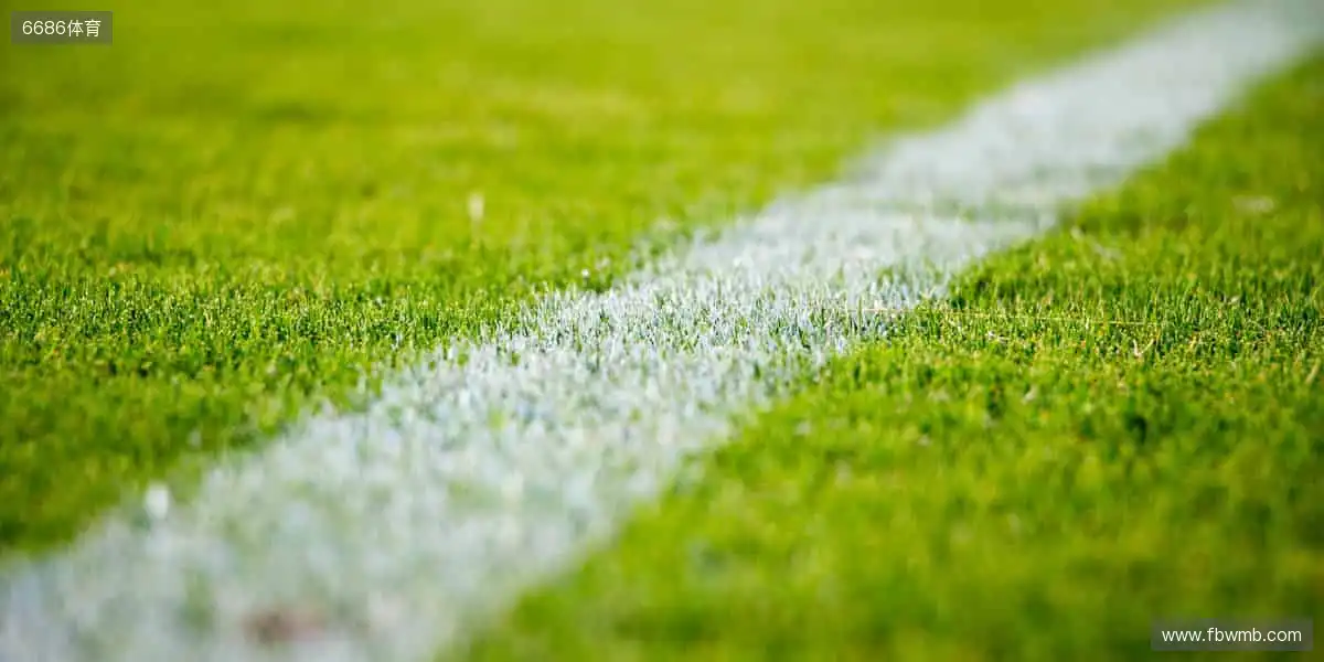 🏀 一键解锁高清赛事，与全球球迷同频狂欢！🎉